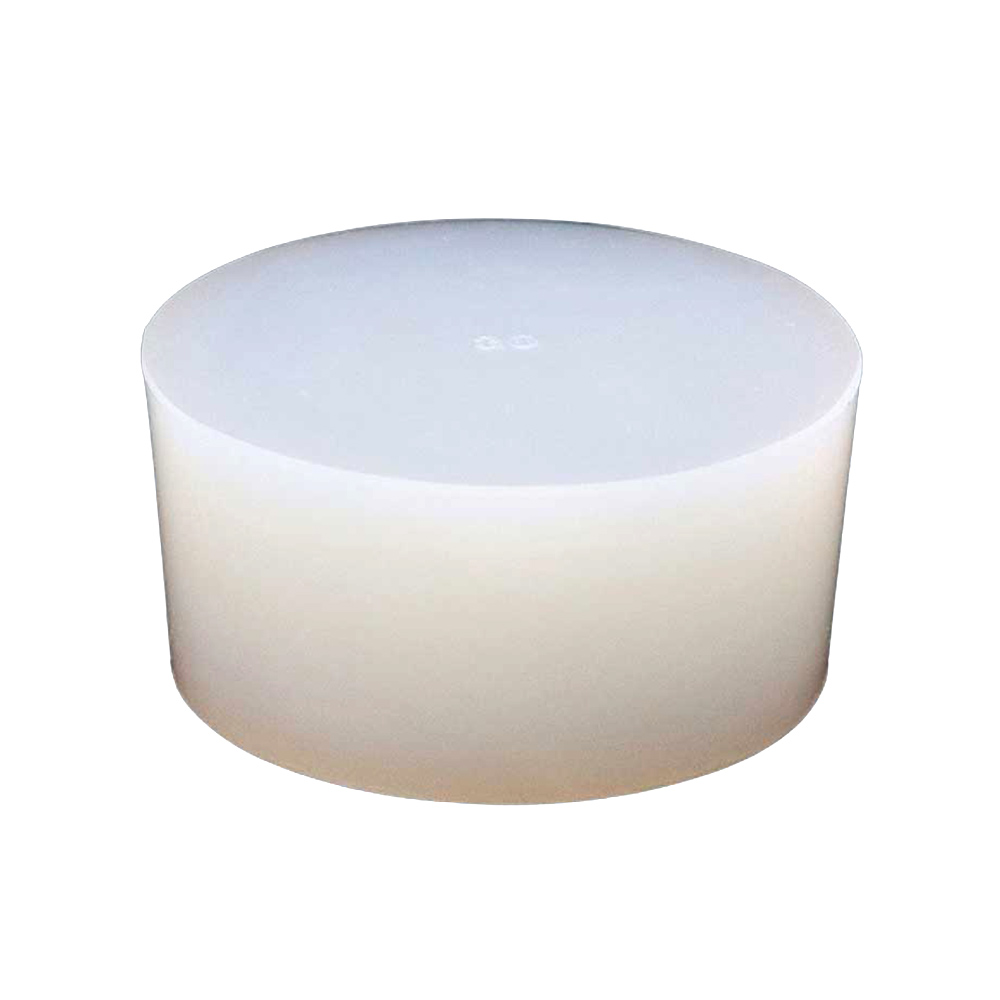 湘南ゴム　リビングサイズ 湘南ゴム リビングサイズ 湘南ゴム リビングサイズ 観葉植物