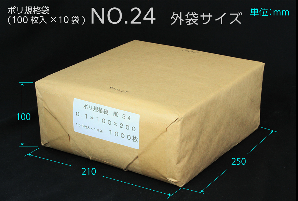 ポリ規格袋 ＃24 0.1×100×200mm （1000枚入)