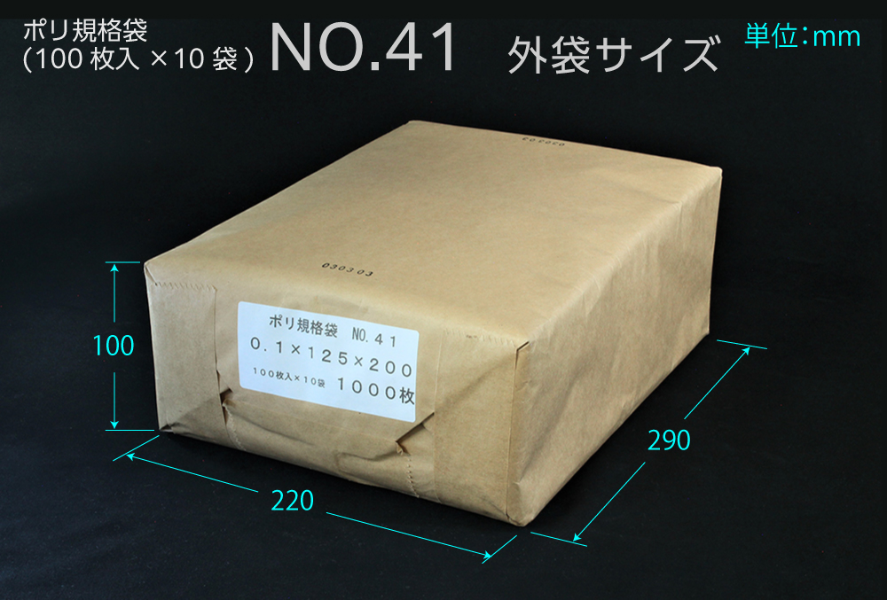 ポリ規格袋 ＃41 0.1×125×200 （1000枚入)
