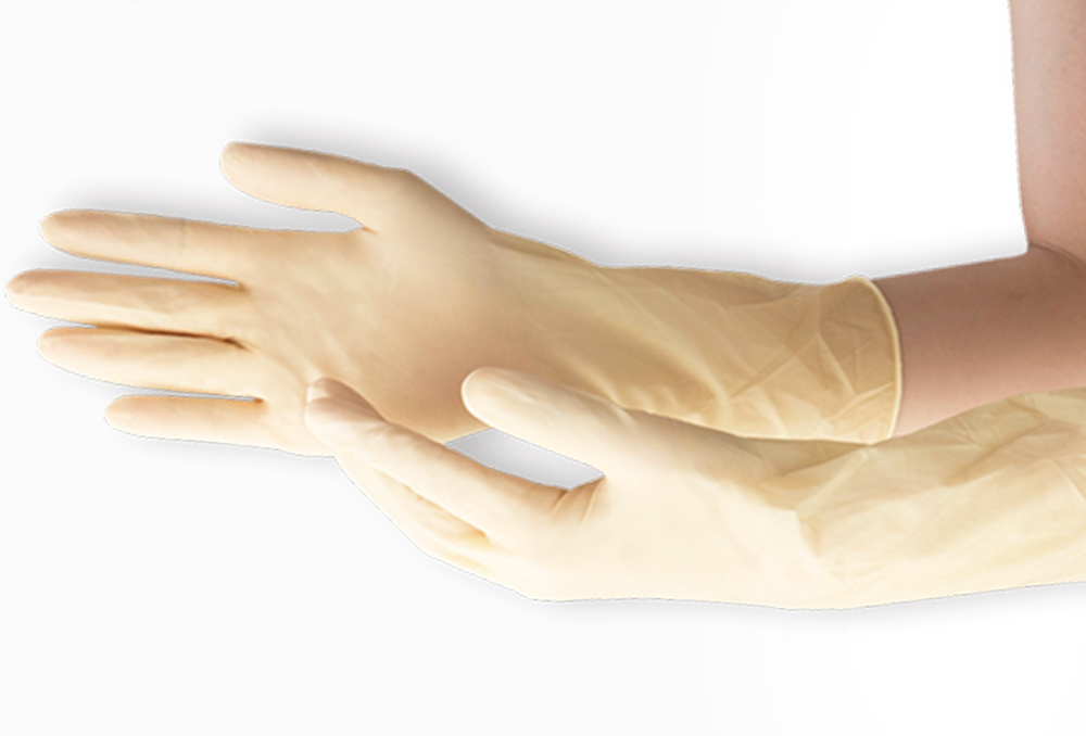 85％以上節約 ラテックスロング手袋パウダーフリー Ｌ