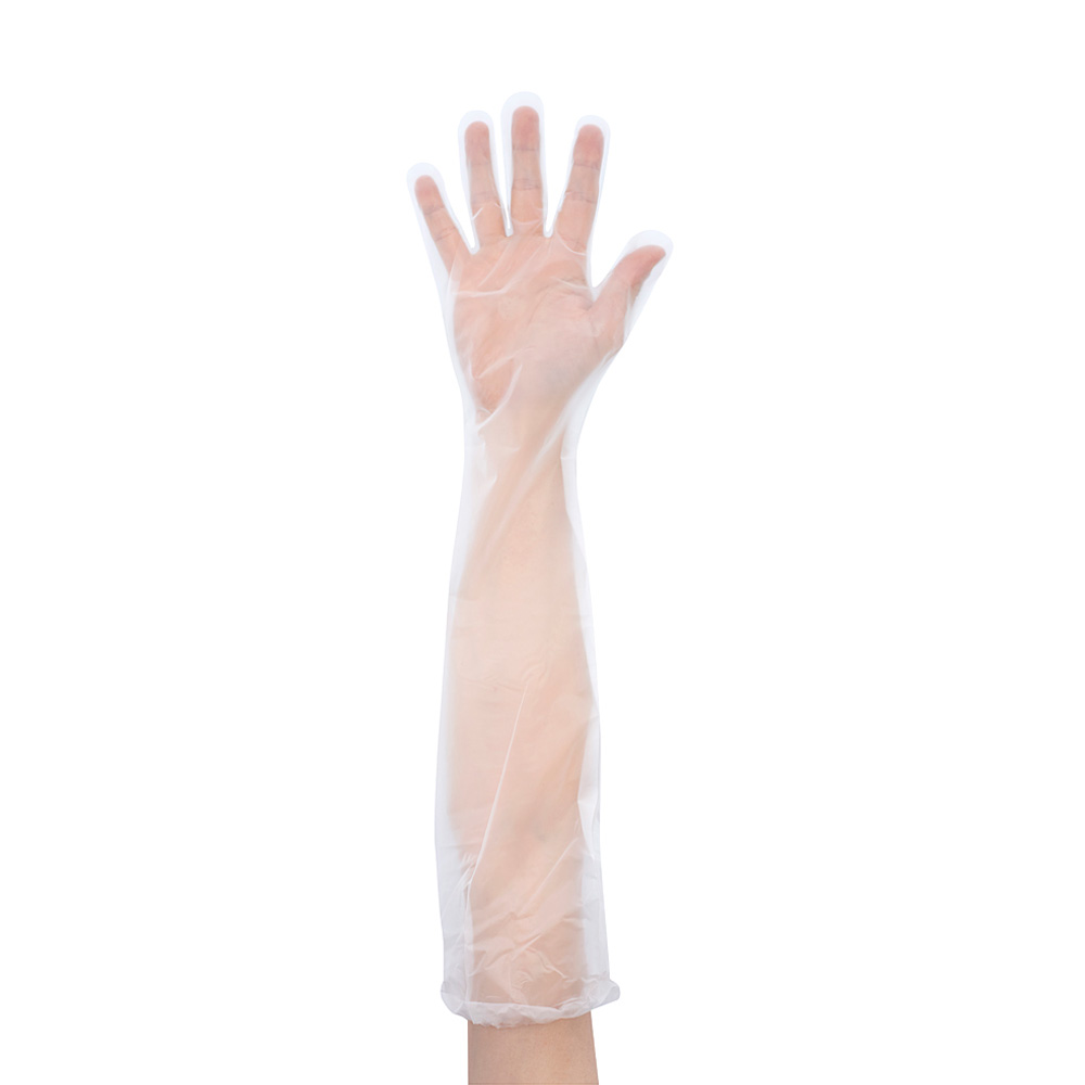 ポリエチロング手袋 No.861 M （30枚入） | コクゴeネット