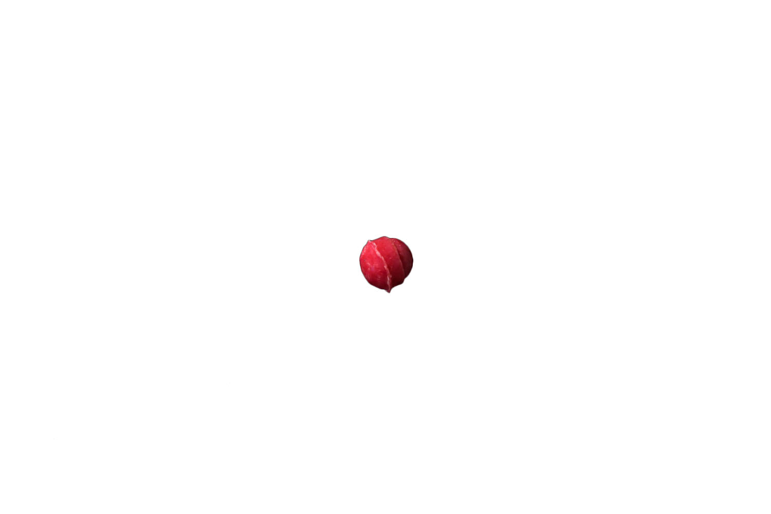 PTFE回転子 カラーマイクロ型（アルニコ） 赤 直径×全長（mm）:3×3 CM803R (5個入)