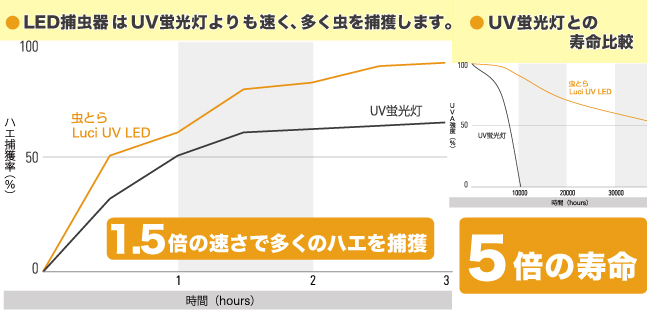 ルーチ虫とら｜株式会社Luci｜コクゴeネット